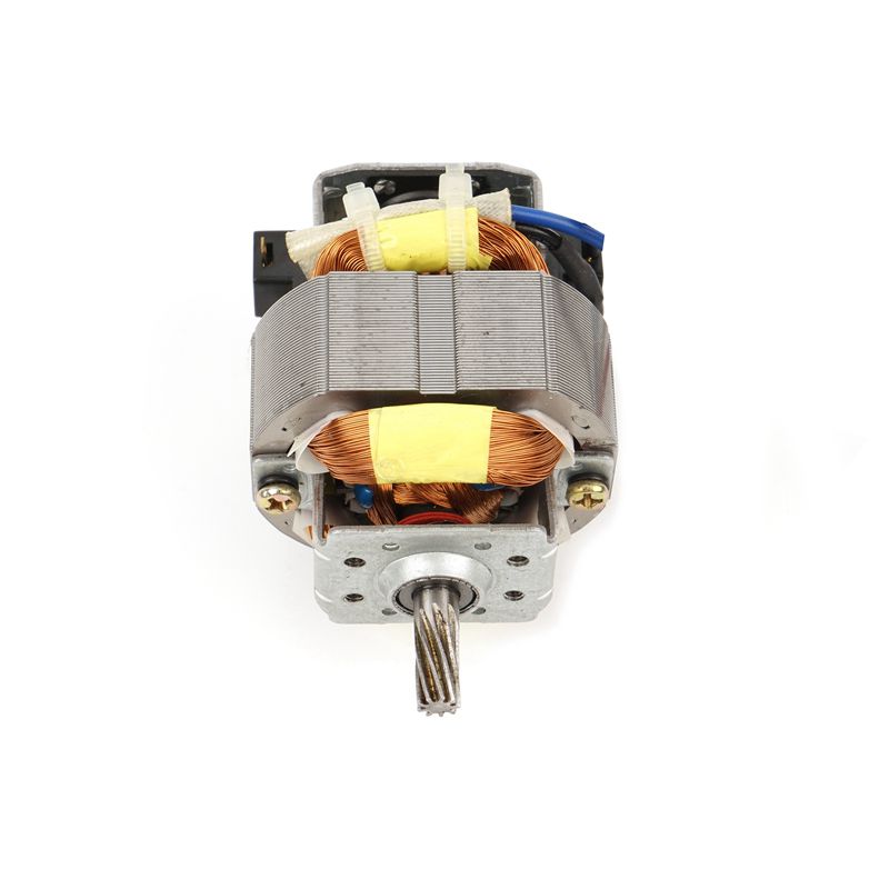 DC 220v Blender Motor