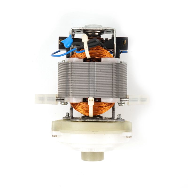 Large Ac Motor