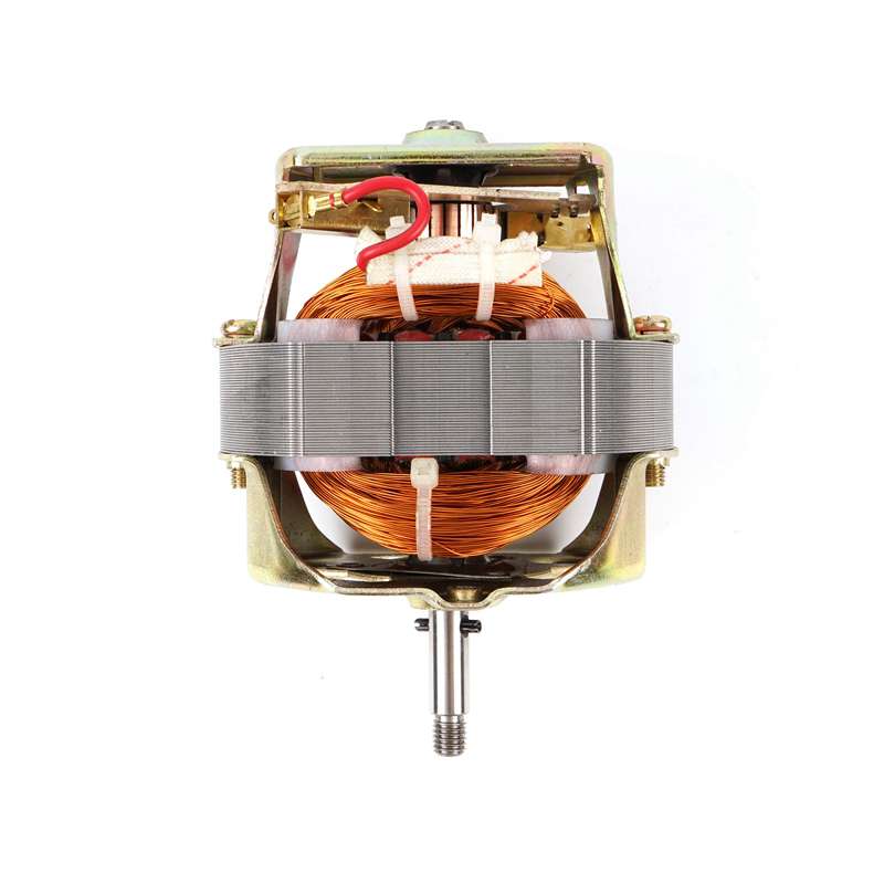 Ac Worm Gear Motor