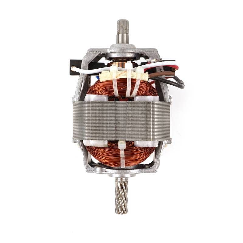 Reversible Ac Motor