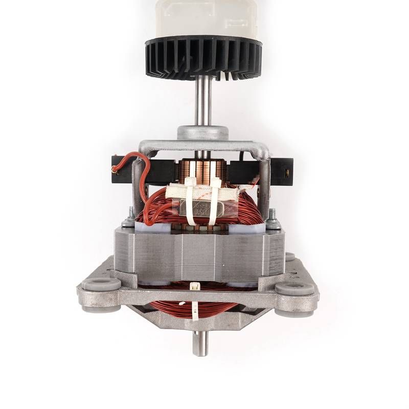 Motor Ac 220v