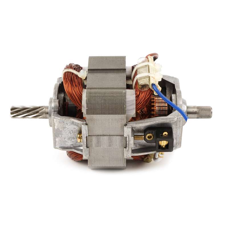 230v AC Motor Manufacturers